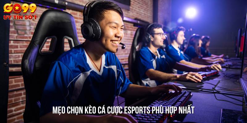 Kinh nghiệm cá cược Esports cực kỳ hữu ích